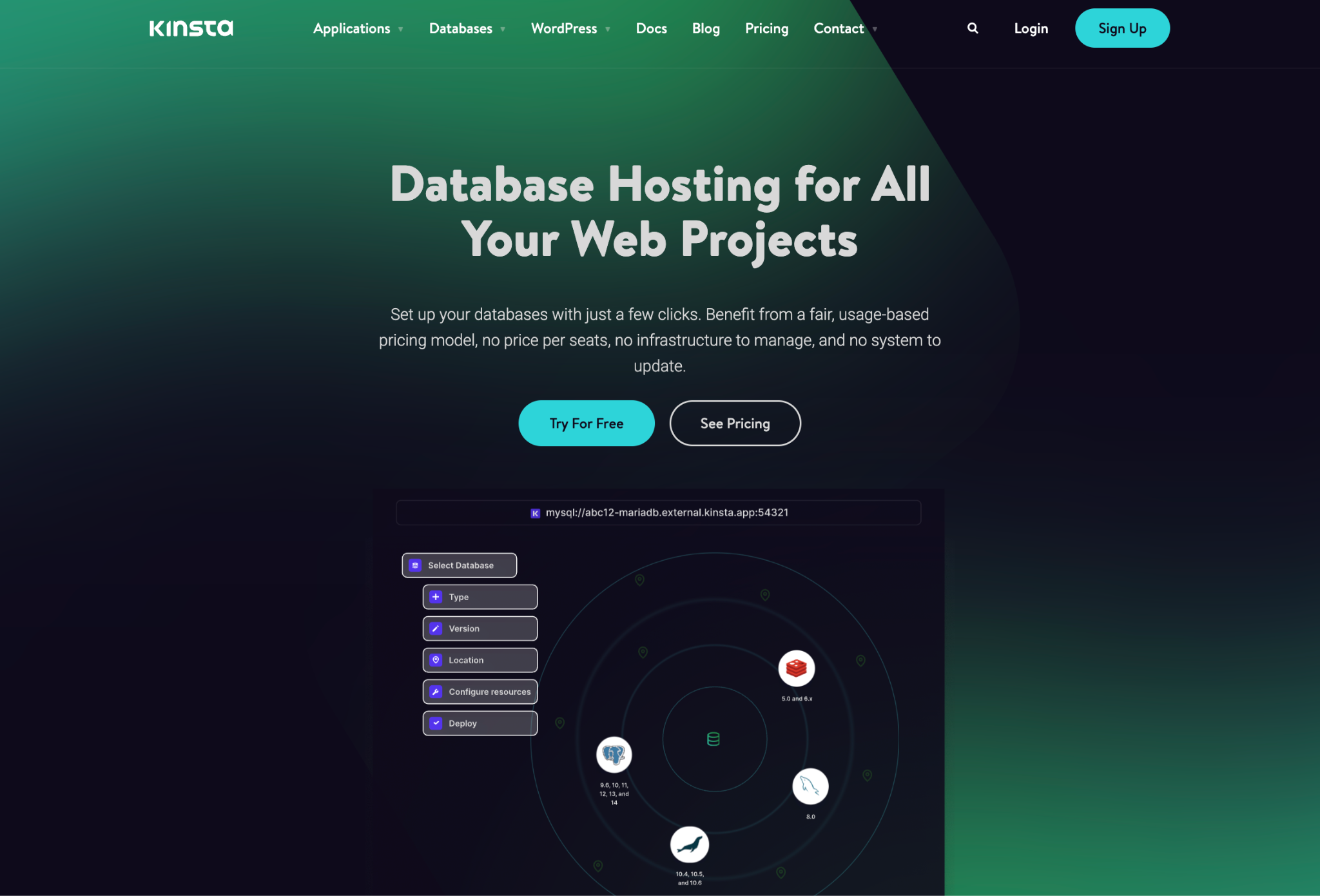 Kinsta database hosting