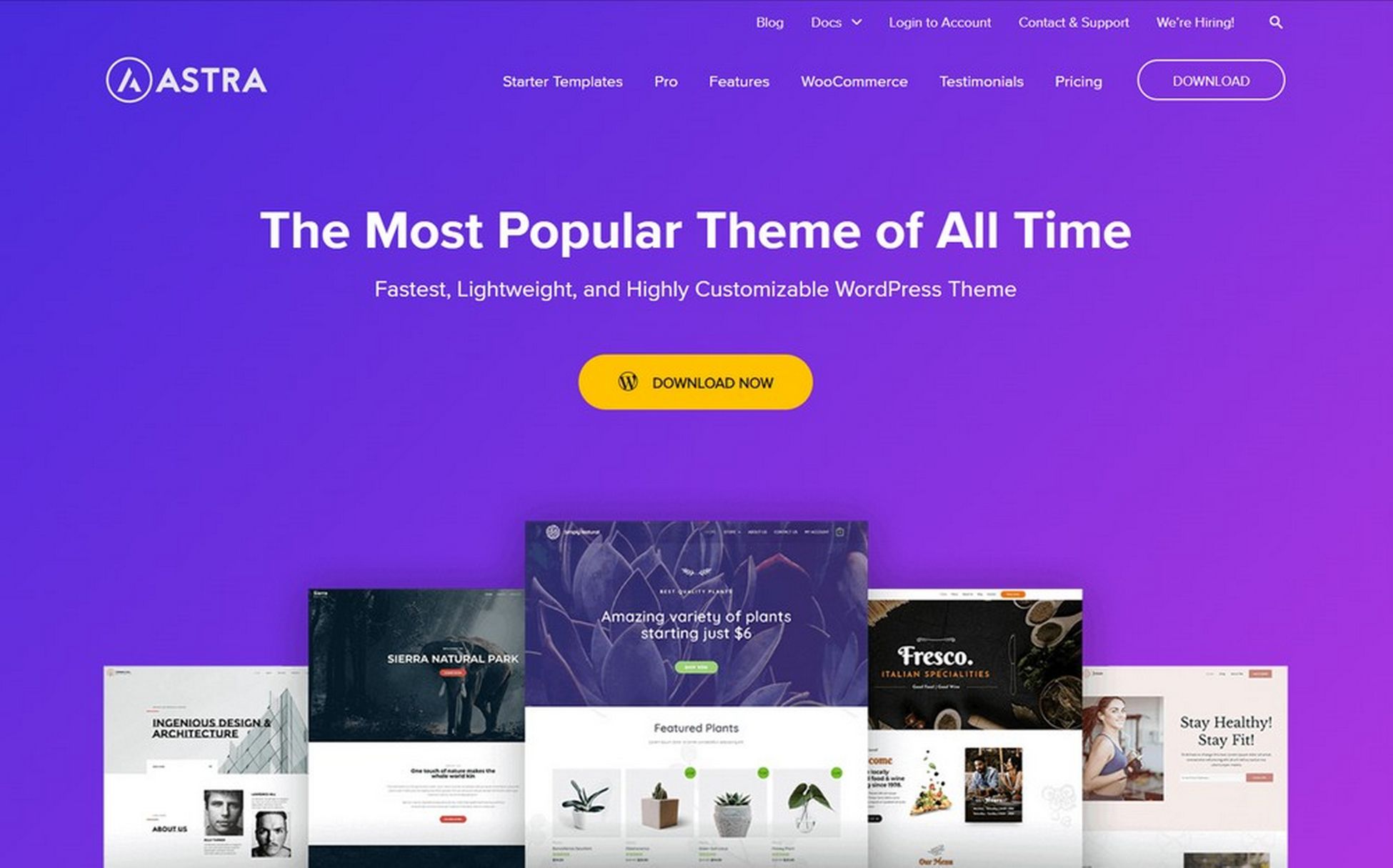 Astra WordPress theme