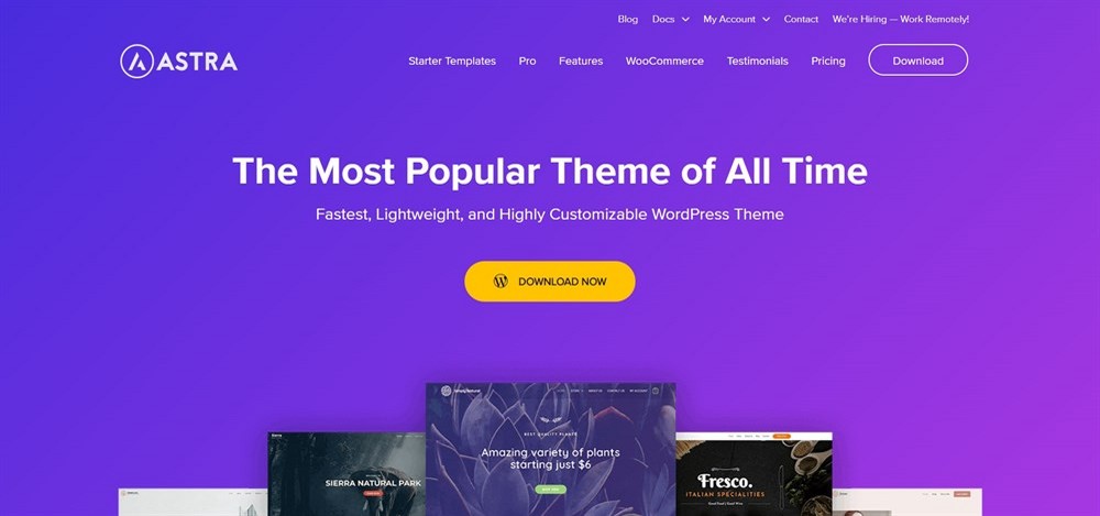 Astra WordPress theme