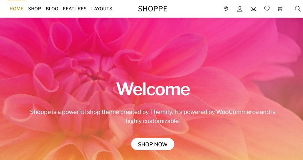 Shoppe WordPress theme for online stores