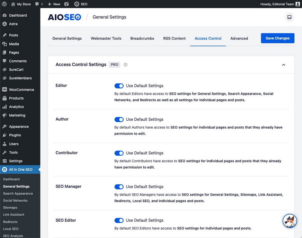 AIOSEO Access Controls