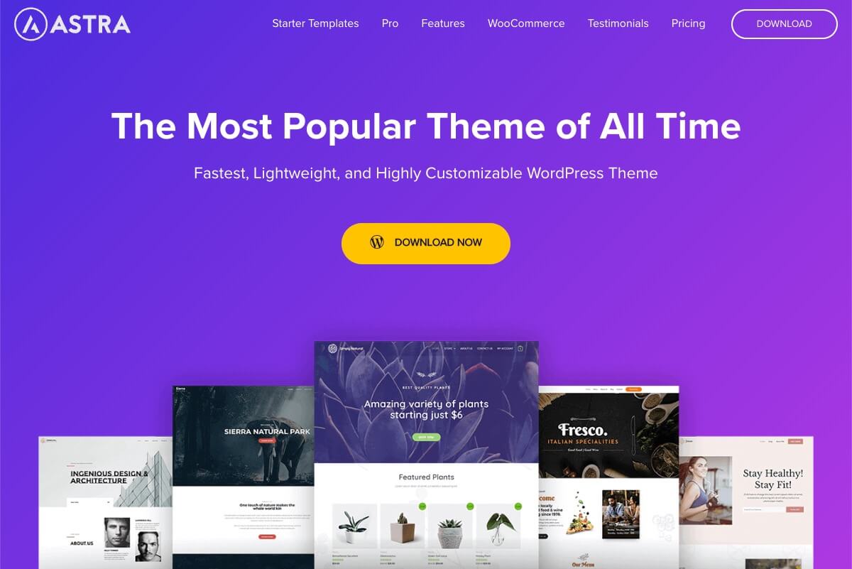 Wp-astra theme homepage