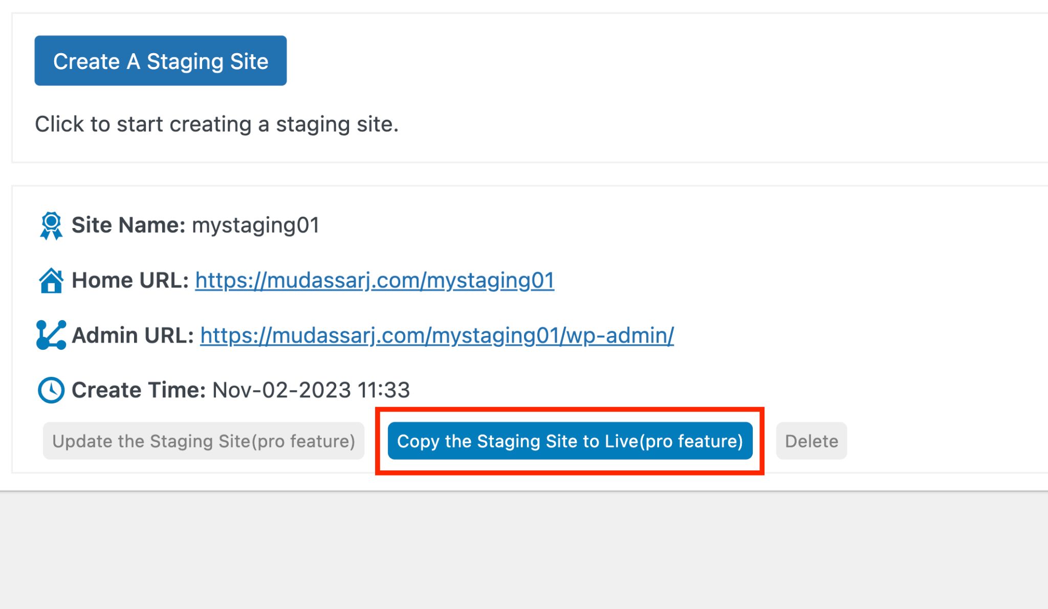 copy the staging site to live site