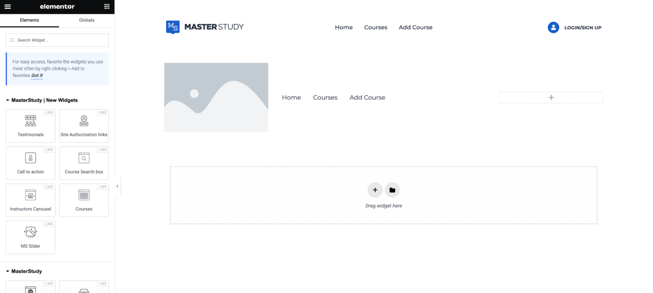 MasterStudy LMS customization options