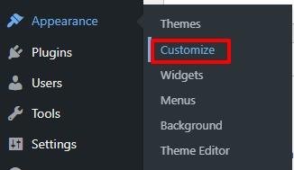Access WordPress customizer