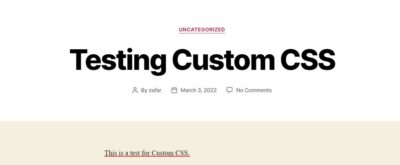 A Beginner’s Guide to Adding Custom CSS in WordPress (2024)
