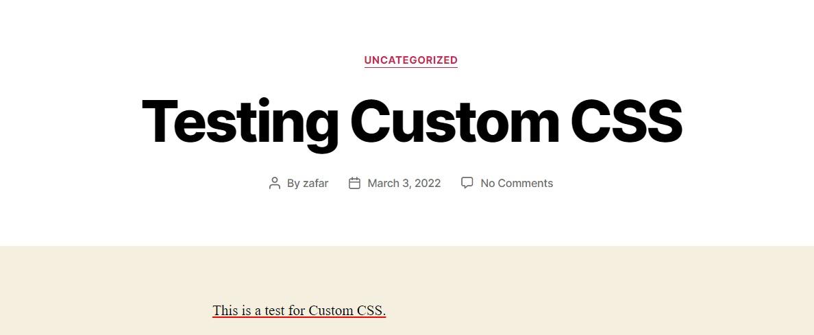 After Adding Custom CSS
