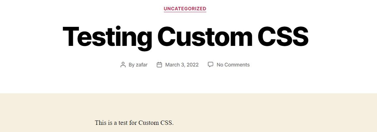 Before Adding Custom CSS