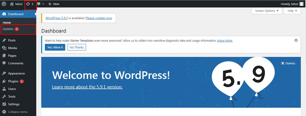 WordPress update