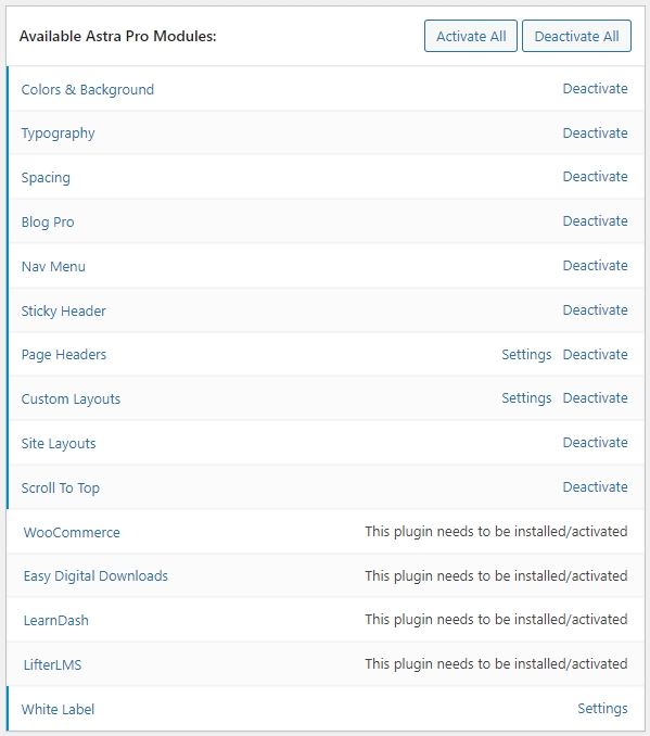 Using and Customizing Astra Pro for Additional Features