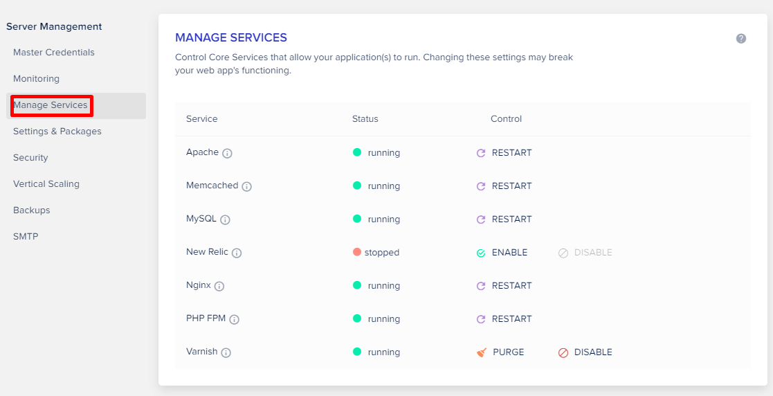 Cloudways Manage Services