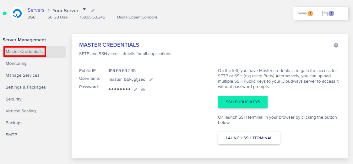 Cloudways Master Credentials