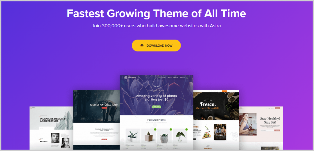 astra theme