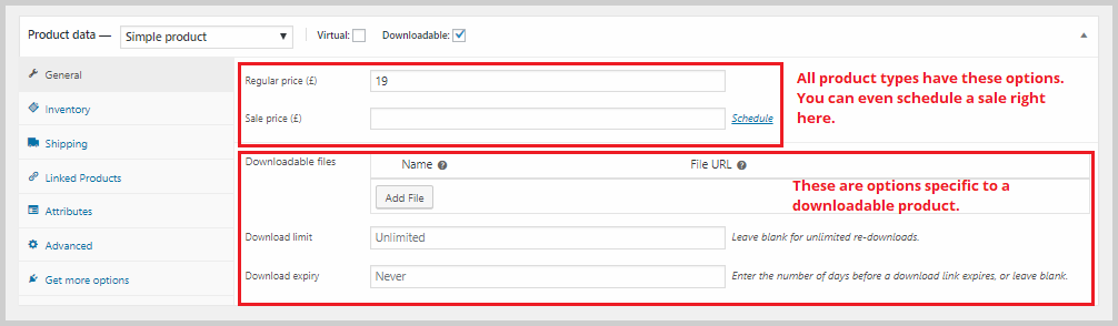 downloadable product options