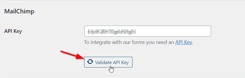 Validate MailChimp API