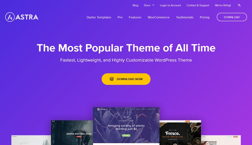 Astra theme for WordPress