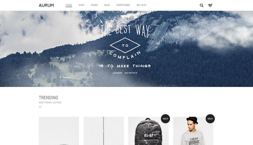 Aurum theme WordPress demo