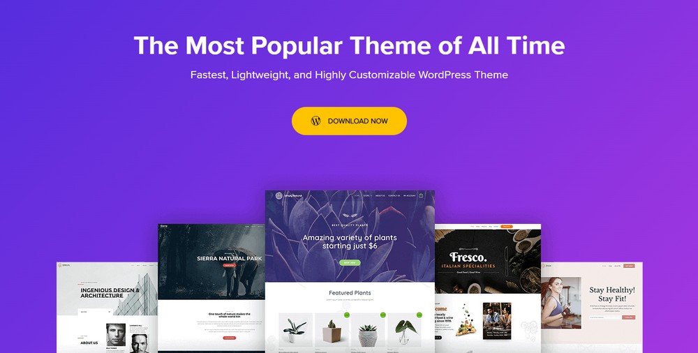astra business theme