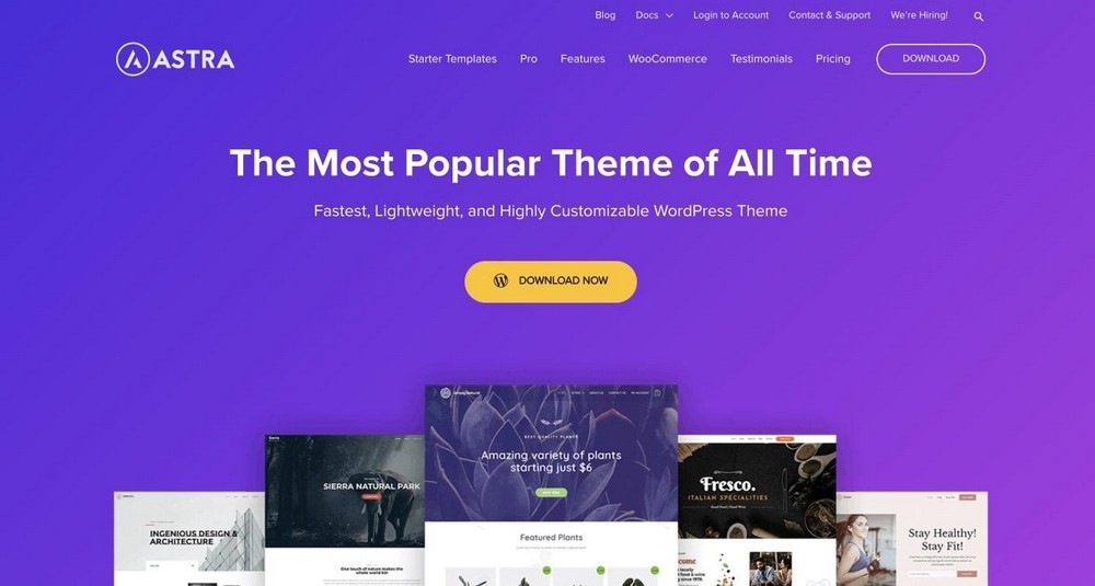 astra wordpress theme