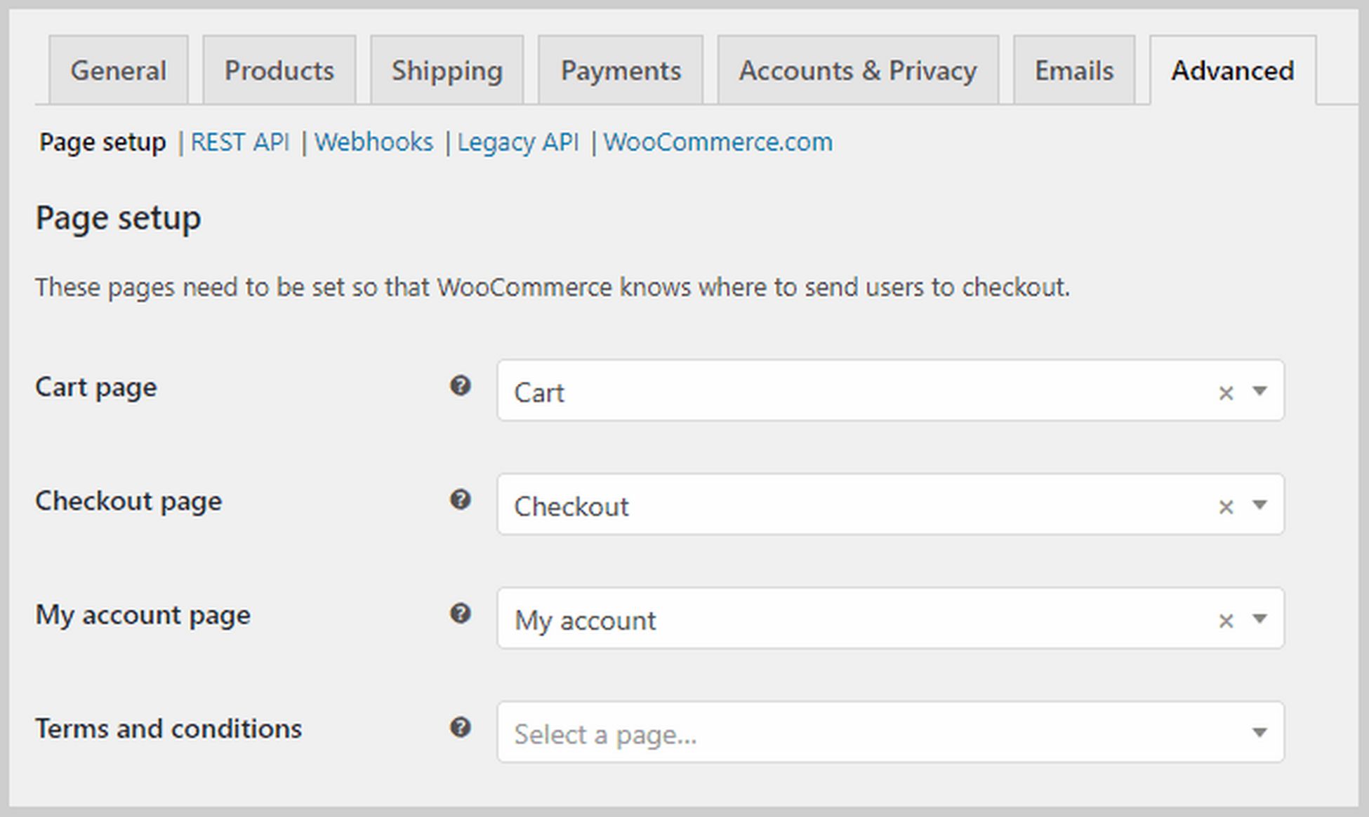 page setup woocommerce